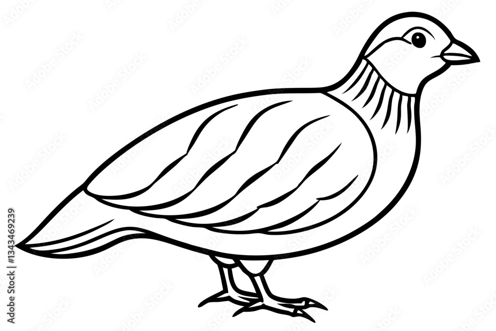 Fototapeta premium quail line art silhouette vector illustration