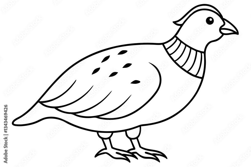 Fototapeta premium quail line art silhouette vector illustration