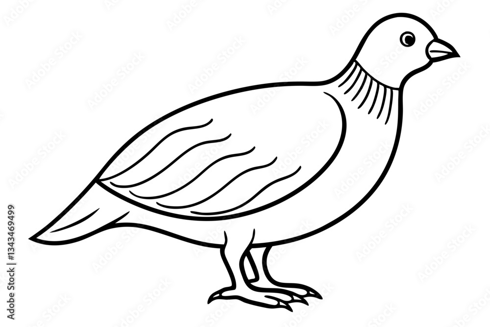 Fototapeta premium quail line art silhouette vector illustration