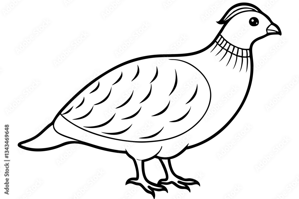 Obraz premium quail line art silhouette vector illustration
