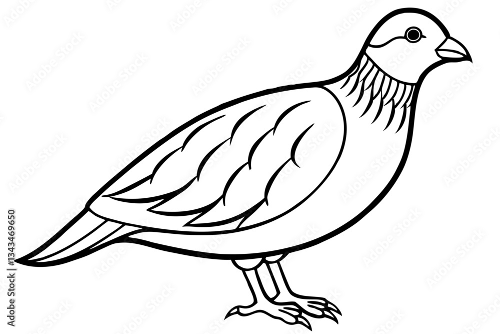 Obraz premium quail line art silhouette vector illustration