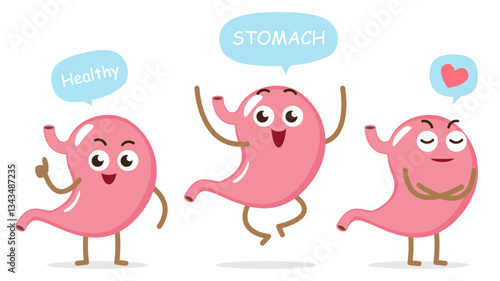 Healthy stomach . Cute medical cartoon characters . White isolated background . Vector .