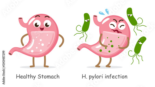 Healthy stomach and Helicobacter pylori infected stomach . Cute medical cartoon characters . White isolated background . Vector .