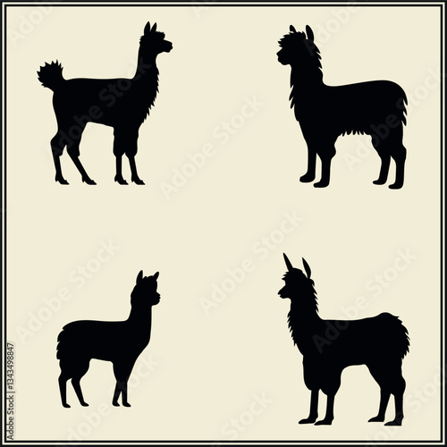 Silhouette of an Alpaca, Farm Animal