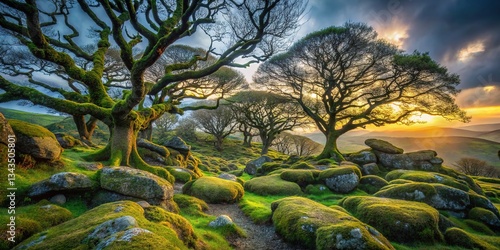 Wistman's Wood, Dramatic English Landscape, Ancient Forest
