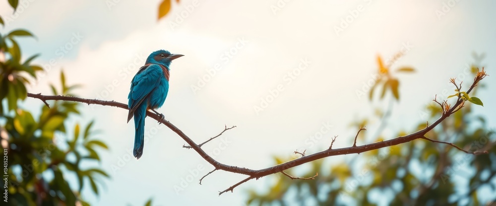 Obraz premium Serene avian perched on a slender branch, bathed in soft sunlight amidst a gentle breeze and lush foliage.