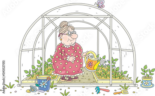 Funny granny gardener watering green sprouts of vegetables in her greenhouse in a summer kitchen garden, vector cartoon illustration isolated on a white background