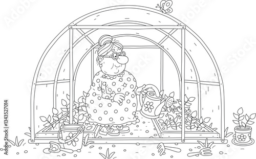 Funny granny gardener watering small sprouts of vegetables in her greenhouse in a summer kitchen garden, black and white vector cartoon illustration for a coloring book