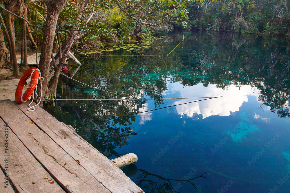 Fototapeta premium Mexikanische Süßwasserlagune im Dschungel