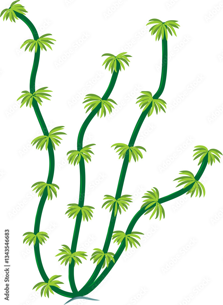 Fototapeta premium vector illustration of seagrass algae