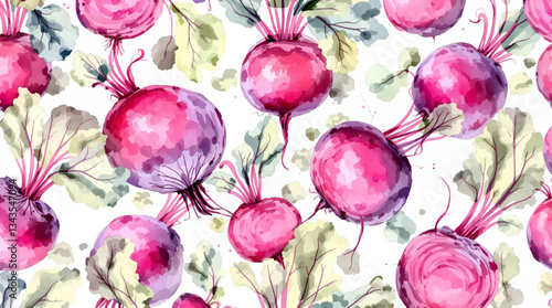 Watercolor beet on white background