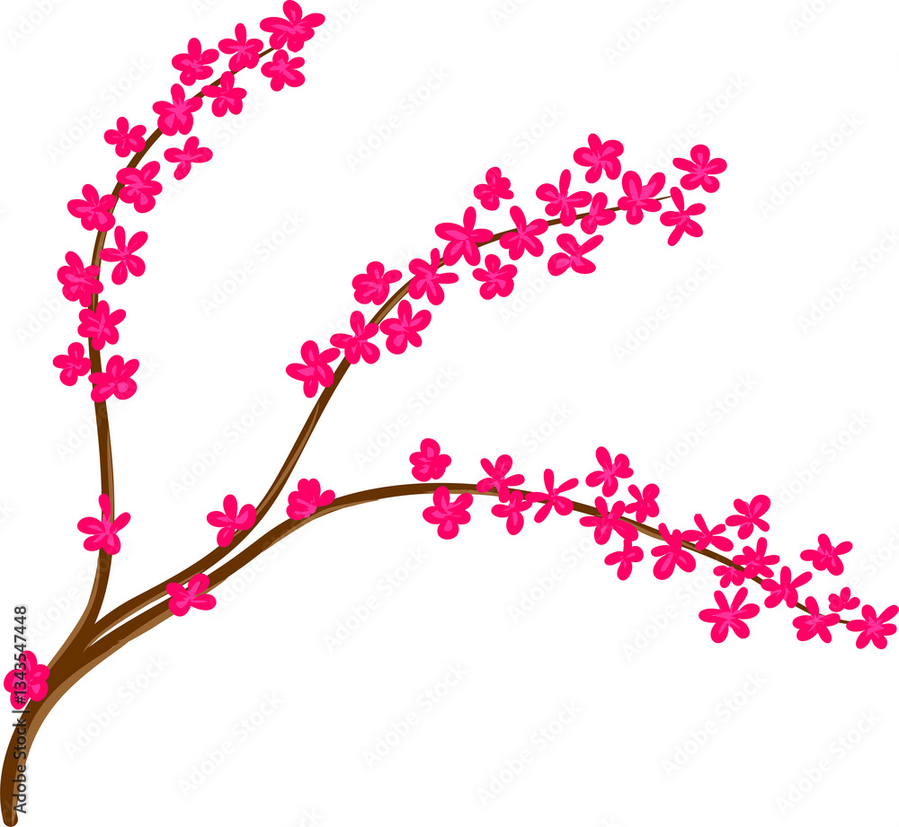 Fototapeta premium cherry blossom branch
