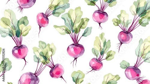 Watercolor beet on white background