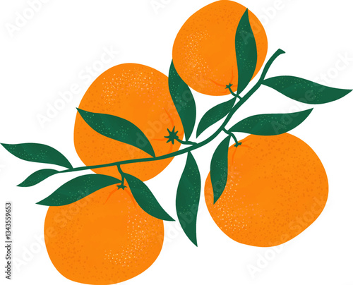 Fresh citrus hand drawn illustration, summer citrus tropical fruit vector pattern, fresh fruit, menu, vitamin c, fabric