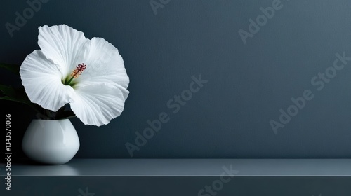 Elegant white hibiscus in minimalist vase