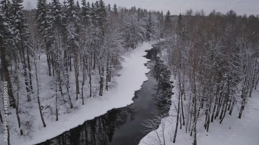 river in forest in winter river in forest in winter