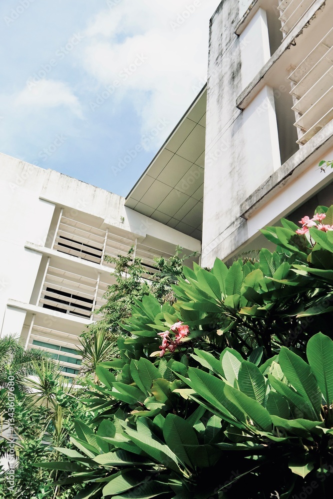 Fototapeta premium facade of a house