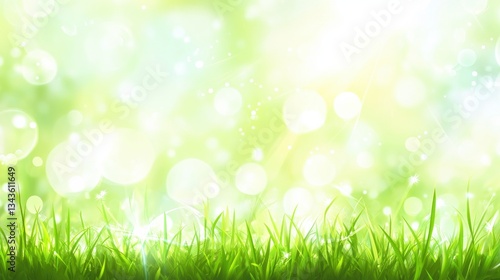 Lush Green Grass Under Bright Light with Bokeh Effect in Nature