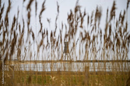 Ein entfernter Leuchtturm oder Turm durch hohes Gras oder Schilf, mit einem ruhigen Gewässer im Hintergrund. Die Szene vermittelt eine ruhige, natürliche Landschaft.
