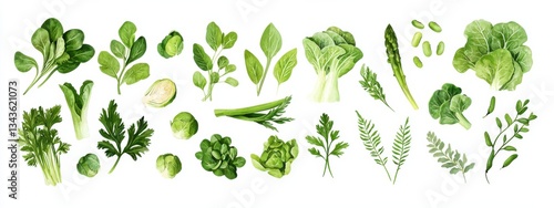 Spinach, broccoli, brussel sprouts, asparagus, pak choi, celery, onion, cucumber, pepper, bean isolated on white background. Healthy green vegetable collection. Design element. Top view, flat lay