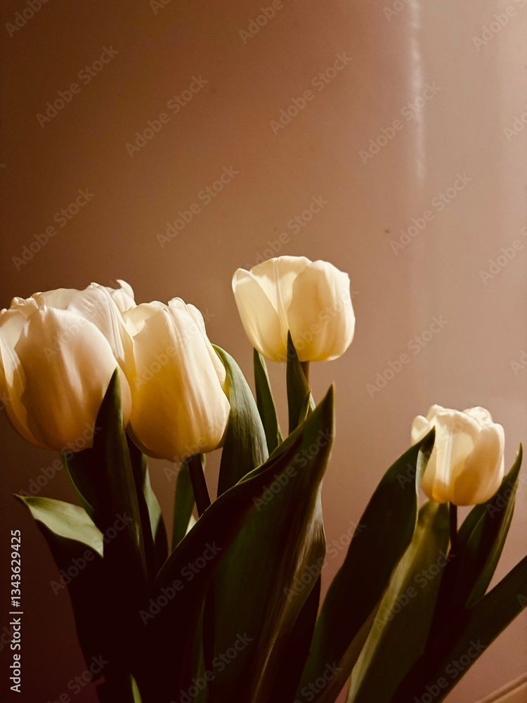 Naklejka premium yellow tulips on black background