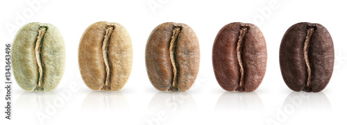Stages of roasting coffee beans isolated