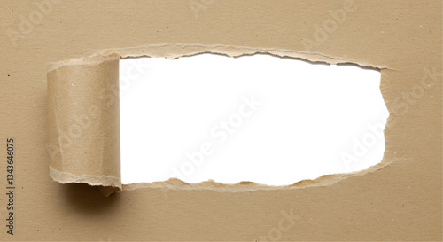 Browen torn paper on transparent background