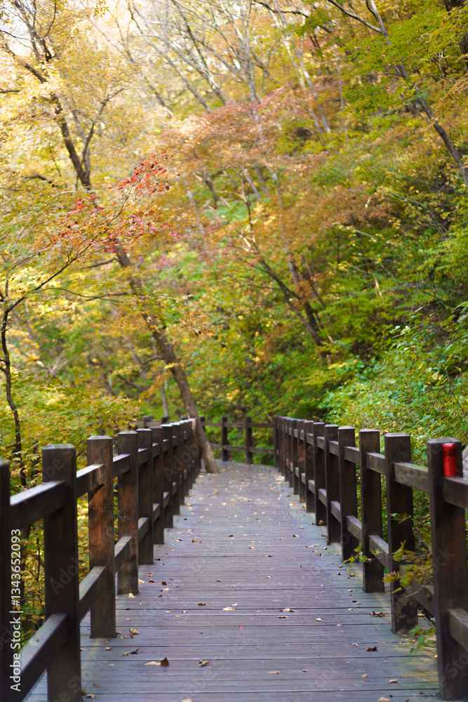 Various wooden bridges outdoors in Northeast China in autumn Various wooden bridges outdoors in Northeast China in autumn