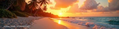 Sandy beach at sunset with palm trees and warm light, sunset, ocean