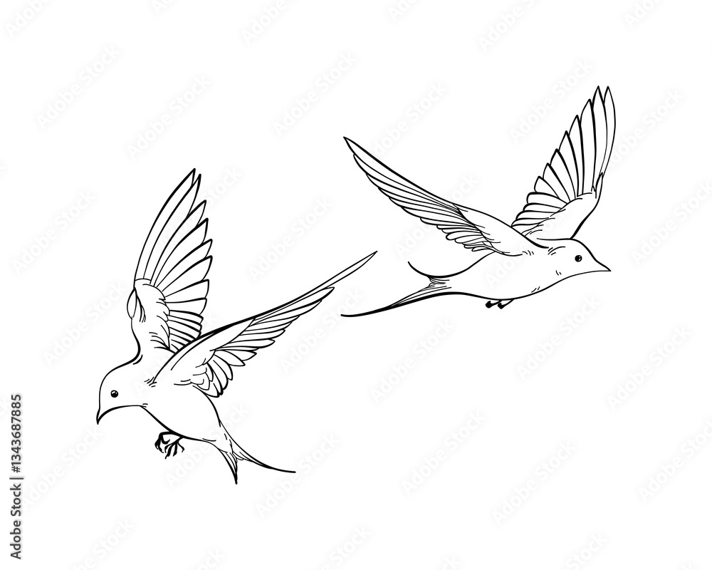 Obraz premium Set of line art illustration of flying swallows, elegant collection of spring birds, Outline Sketch isolated on white for postcard, freedom concept, nature theme, romantic mood, harmony state of mind