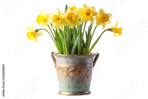 Wallpaper Mural bucket narcissus flower on a ceramic vase with transparent background Torontodigital.ca