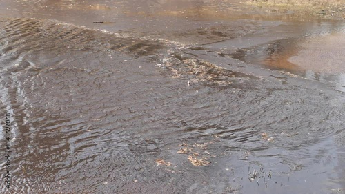 Pieces of ice float gently on a river, creating a tranquil and natural winter scene. The calm water reflects the cold, peaceful atmosphere of the season.