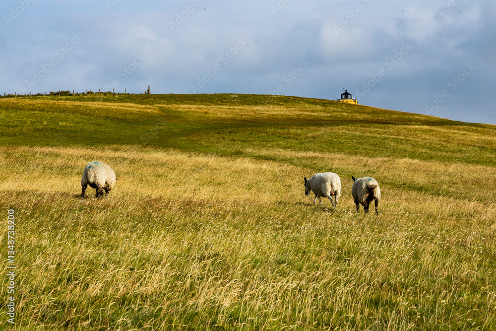 Obraz premium Duncansby Stacks, a breathtaking coastal wonder in Scotland, rise dramatically from the North Sea. Standing atop the towering cliffs, visitors are rewarded with panoramic ocean views, rugged landscape