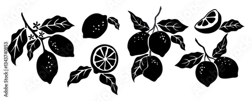 Hand drawn abstract lemon silhouettes set. Collection of whole and cut lemons, branches, flowers and leaves vector black outline illustrations isolated on transparent background. 