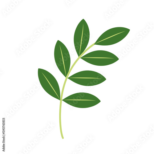 Illustration of green leaves with branches 