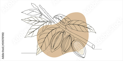 Cocoa beans continuous single one line minimalist continuous single line hand drawn sketch depicting cocoa beans growing on a branch