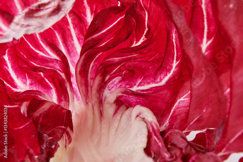 Radicchio, red salad macro texture. Texture close up background. Top view. Food concept. Design element.
