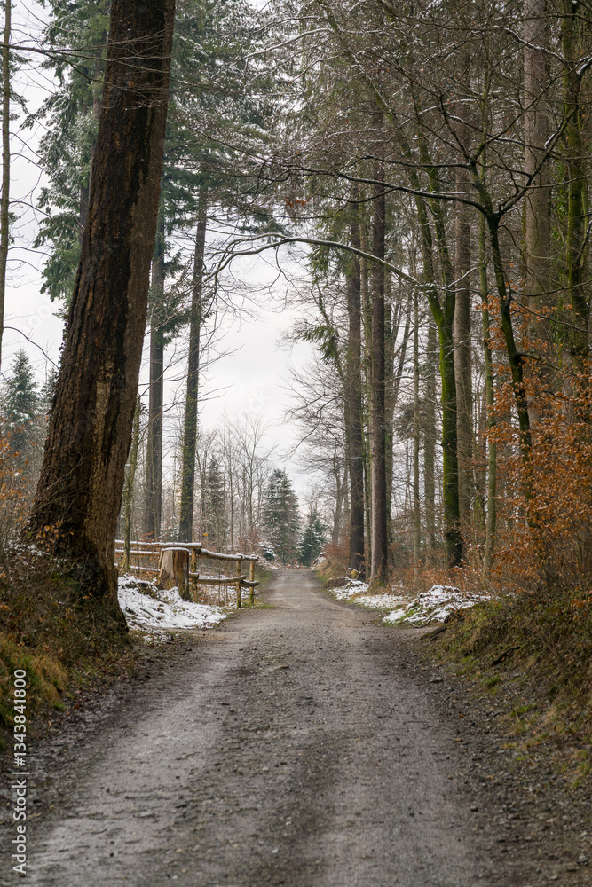Fototapeta premium Way through a winter forest, with still some snow left on the ground, under a grey sky.. Vertical shot.