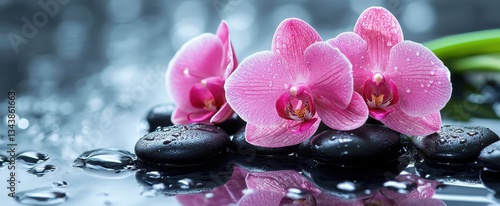 Pink orchids on wet black stones in a tranquil spa setting.