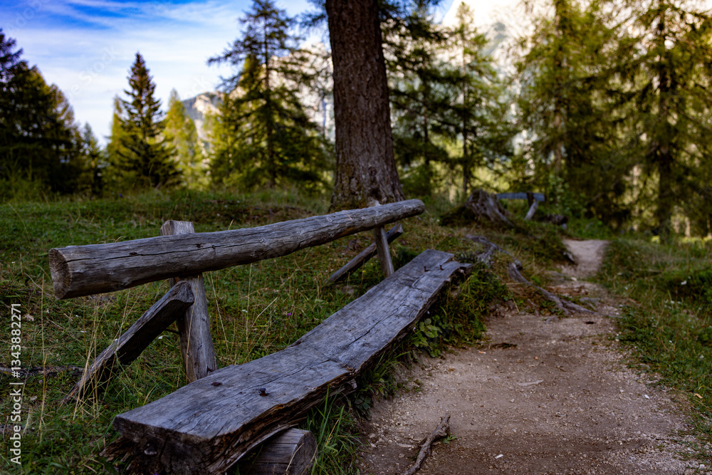 Rustic Wooden Benches Along Forest Path in Peaceful Natural Setting Rustic Wooden Benches Along Forest Path in Peaceful Natural Setting
