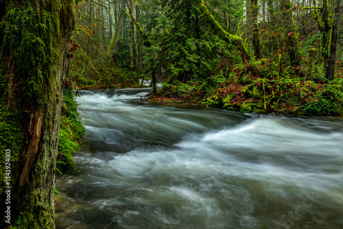 Fast Water on Shawnigan Creek Vancouver Island BC
