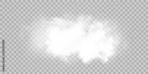 Fog or smoke isolated transparent special effect. White vector cloudiness, mist or smog background. Vector illustration	