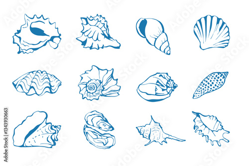 Hand drawn sea shells set in sketch style. Simple design for greeting cards, invitations, poster, postcards, branding, logo design