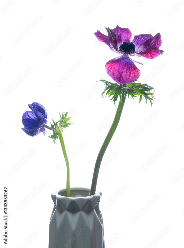 Naklejka premium Elegant Anemones in Modern Geometric Vase