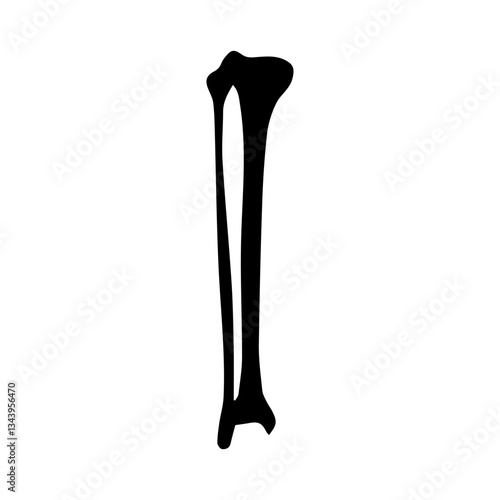 tibia and fibula anterior glyph icon
