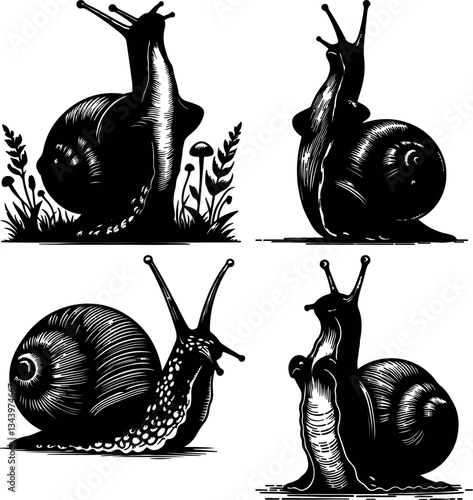 A set of Black and White Snail Shell Outlines Vector Illustration