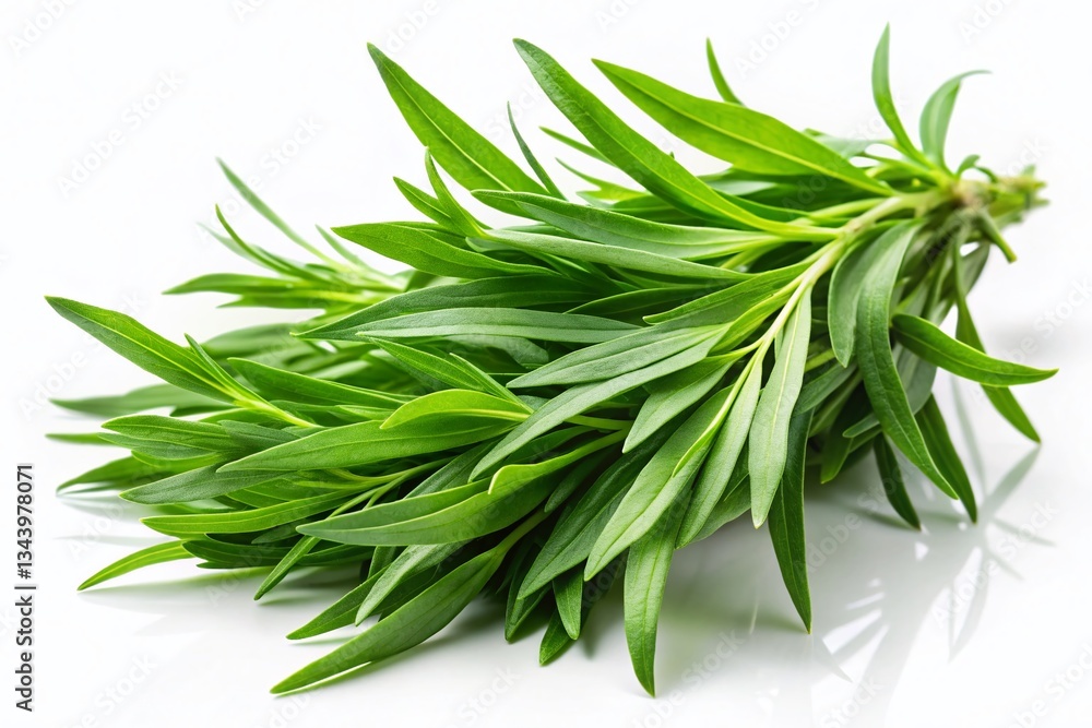 Fototapeta premium Fresh Green Tarragon Sprigs Isolated on White Background - Culinary Herb Stock Photo