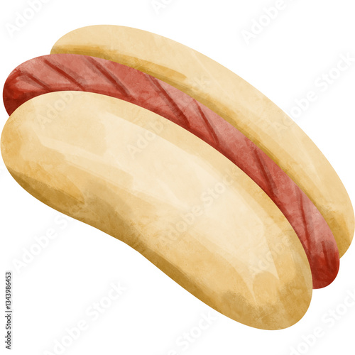 hot dog on white background