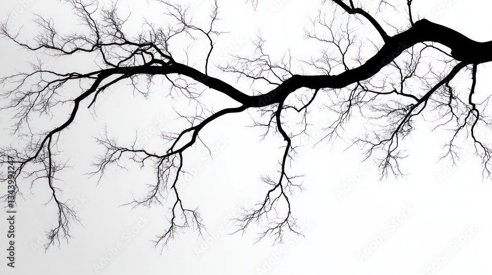 Fototapeta premium Elegance of Minimalism in Tree Branch Silhouettes