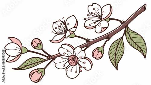 hand drawn cherry blossom branch background.